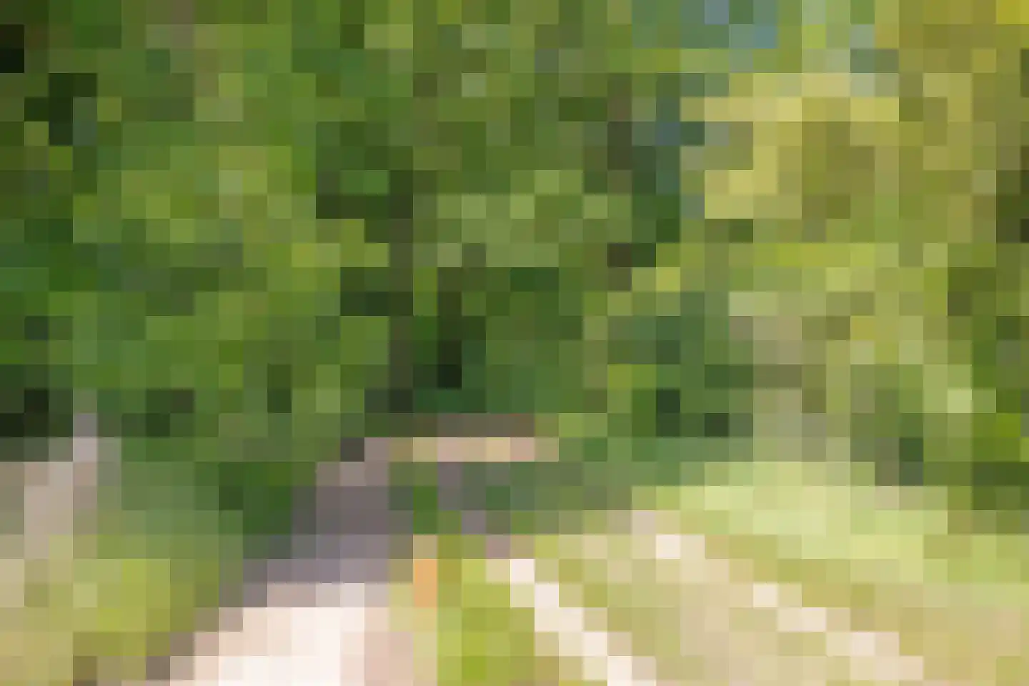 Brinkerinkweg 4 Barchem thumbnail 65
