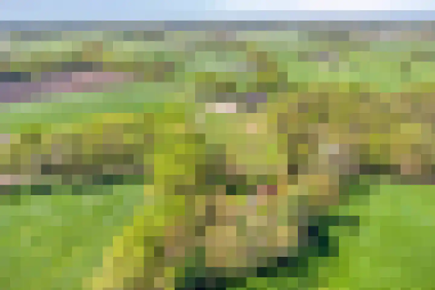 Brinkerinkweg 4 Barchem thumbnail 67
