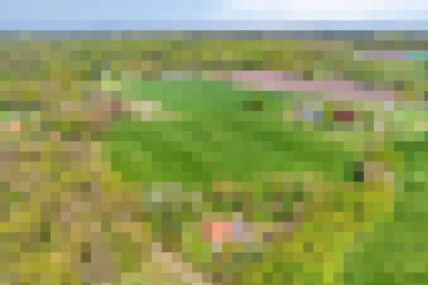 Brinkerinkweg 4 Barchem thumbnail 68
