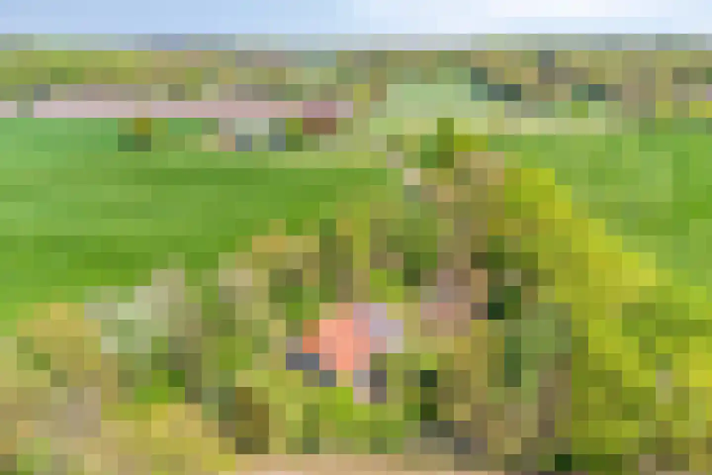 Brinkerinkweg 4 Barchem thumbnail 69