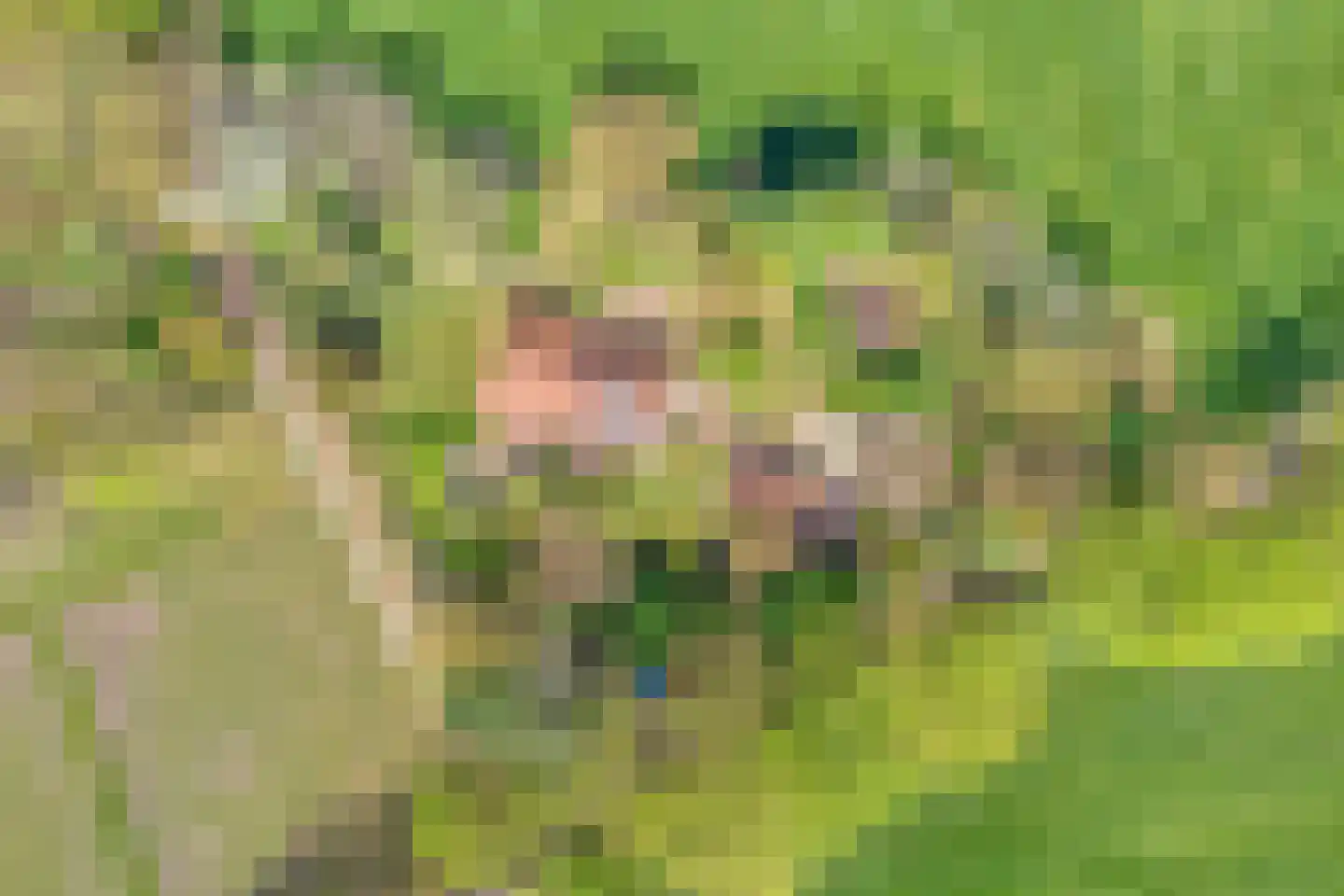 Brinkerinkweg 4 Barchem thumbnail 7