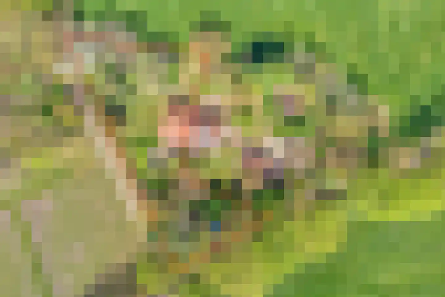 Brinkerinkweg 4 Barchem thumbnail 7