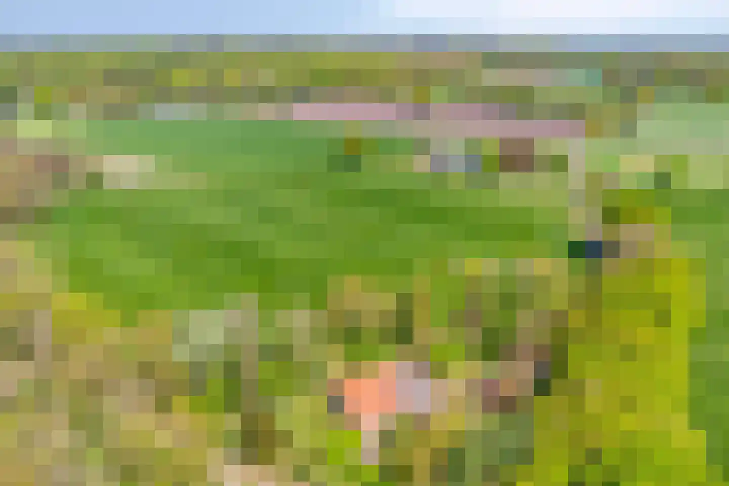 Brinkerinkweg 4 Barchem thumbnail 70