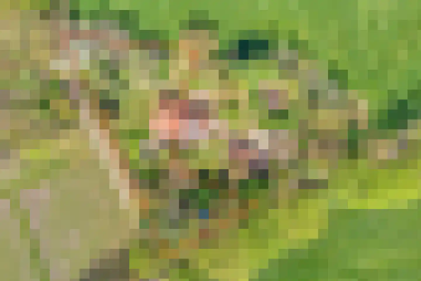 Brinkerinkweg 4 Barchem thumbnail 72