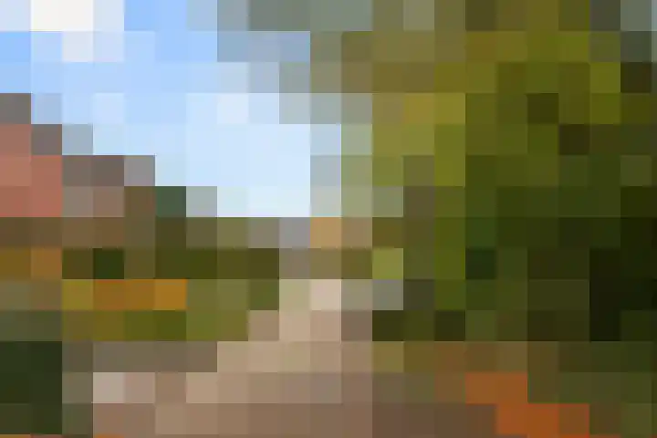 Brinkerpad 29 Bennekom thumbnail 12