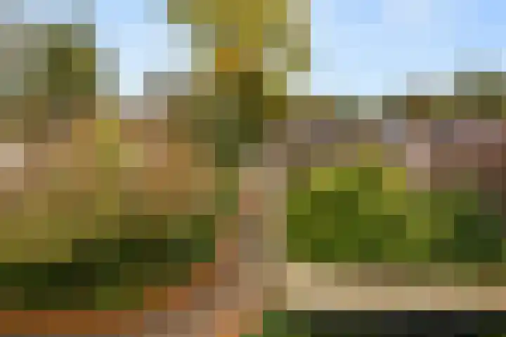 Brinkerpad 29 Bennekom thumbnail 13