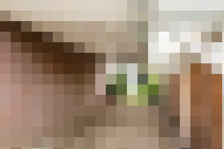 Brinkerpad 29 Bennekom thumbnail 15