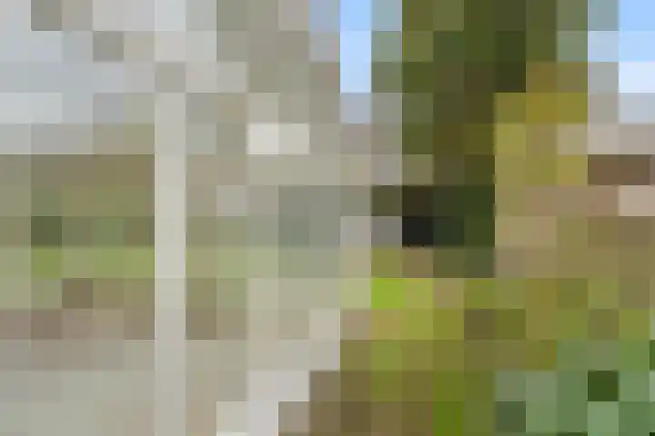 Brinkerpad 29 Bennekom thumbnail 16