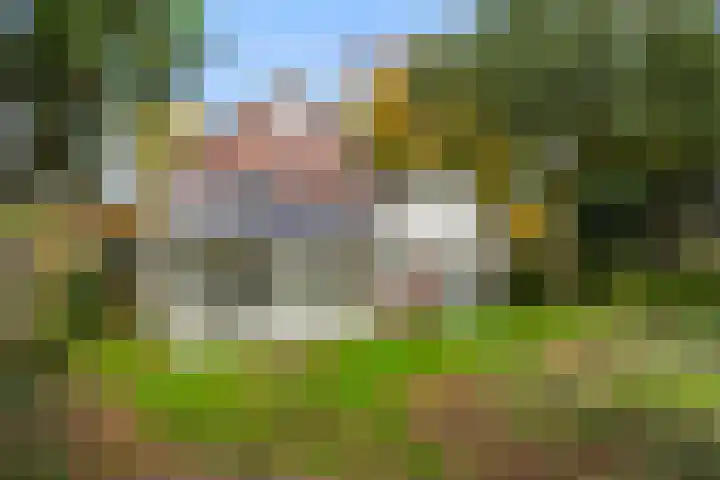 Brinkerpad 29 Bennekom thumbnail 17