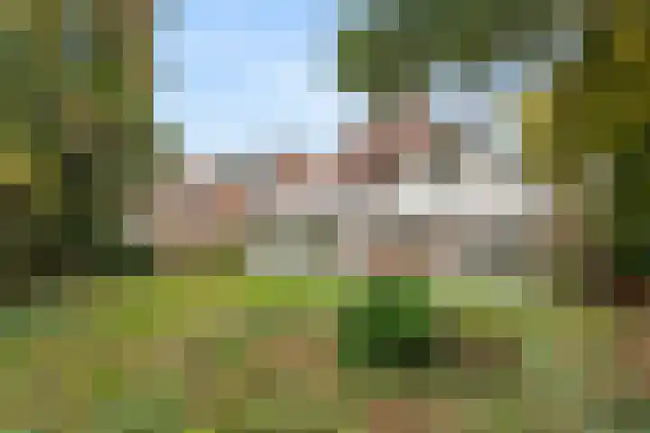 Brinkerpad 29 Bennekom thumbnail 18