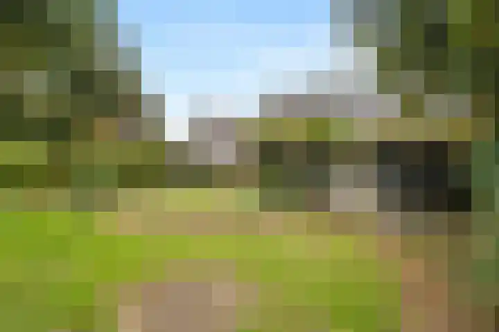 Brinkerpad 29 Bennekom thumbnail 19