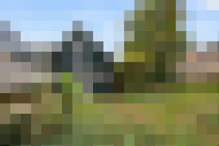 Brinkerpad 29 Bennekom thumbnail 21