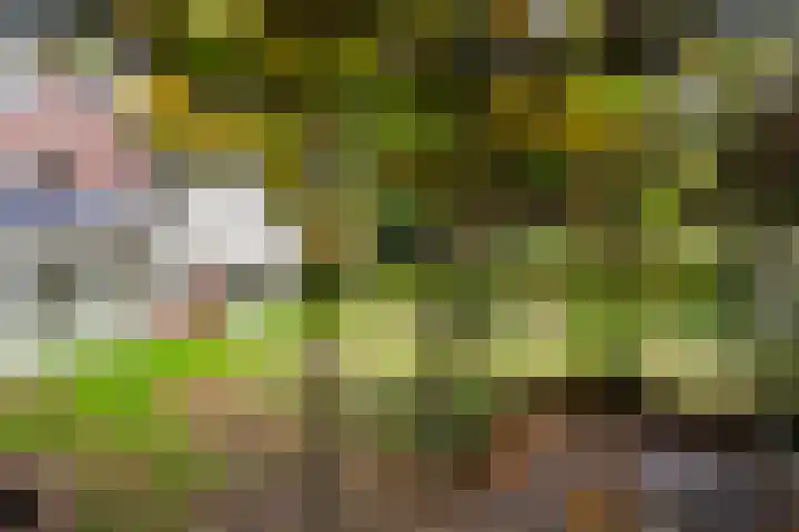 Brinkerpad 29 Bennekom thumbnail 22