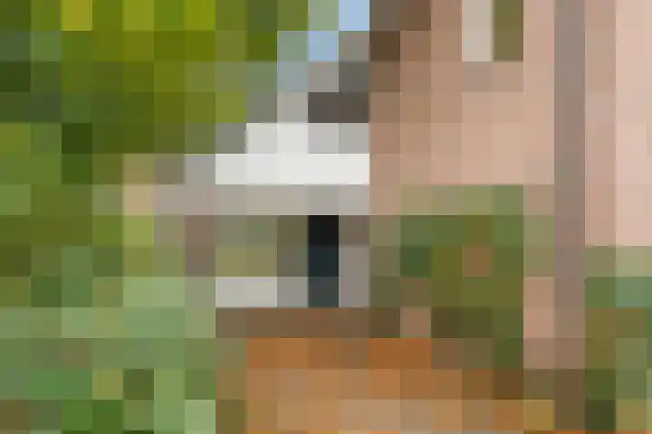Brinkerpad 29 Bennekom thumbnail 25