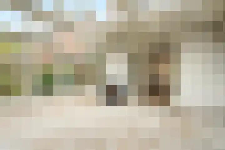 Brinkerpad 29 Bennekom thumbnail 35