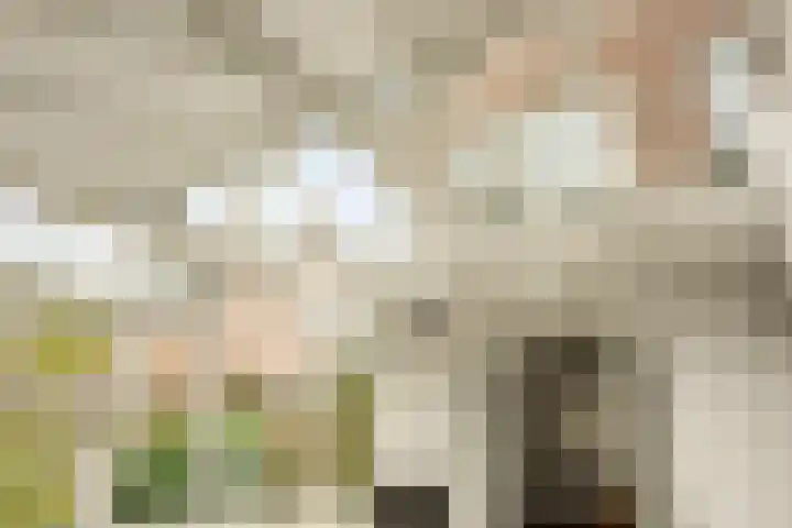 Brinkerpad 29 Bennekom thumbnail 36