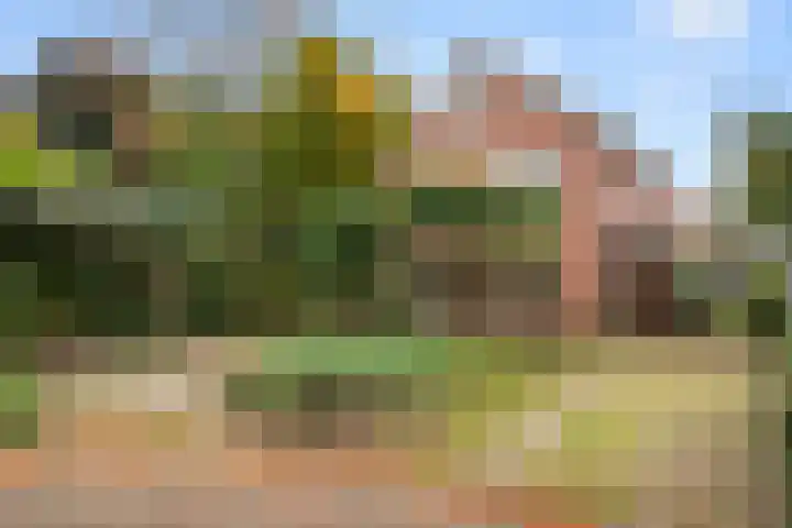 Brinkerpad 29 Bennekom thumbnail 5