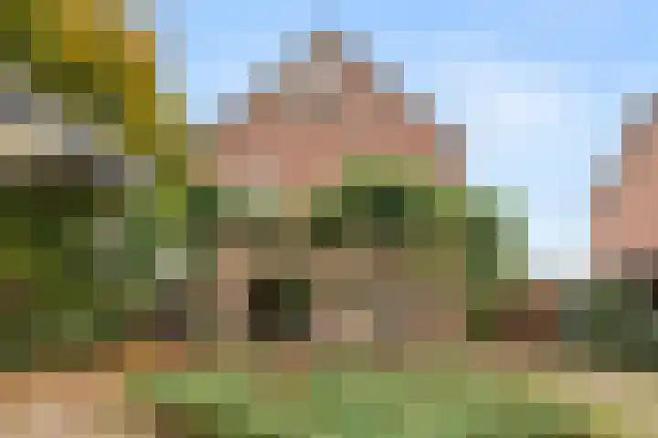 Brinkerpad 29 Bennekom thumbnail 6