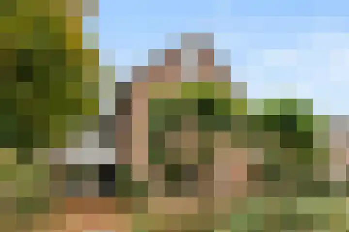 Brinkerpad 29 Bennekom thumbnail 7