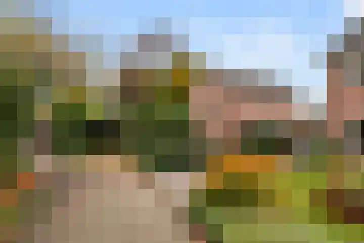 Brinkerpad 29 Bennekom thumbnail 8