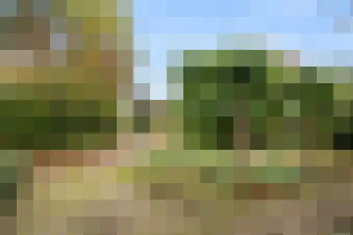 Brinkerpad 29 Bennekom thumbnail 9