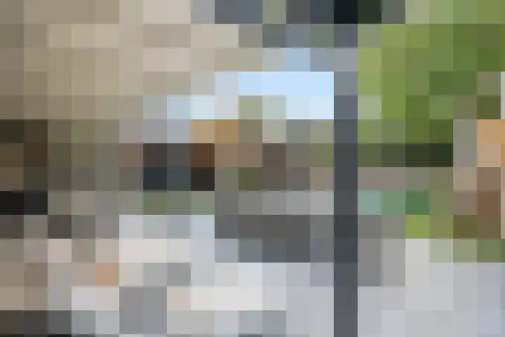 Brinkerpad 41 Bennekom thumbnail 17