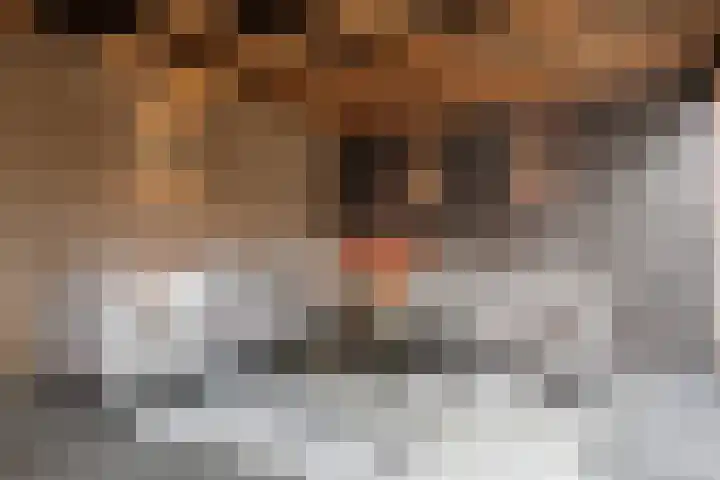 Brinkerpad 41 Bennekom thumbnail 23