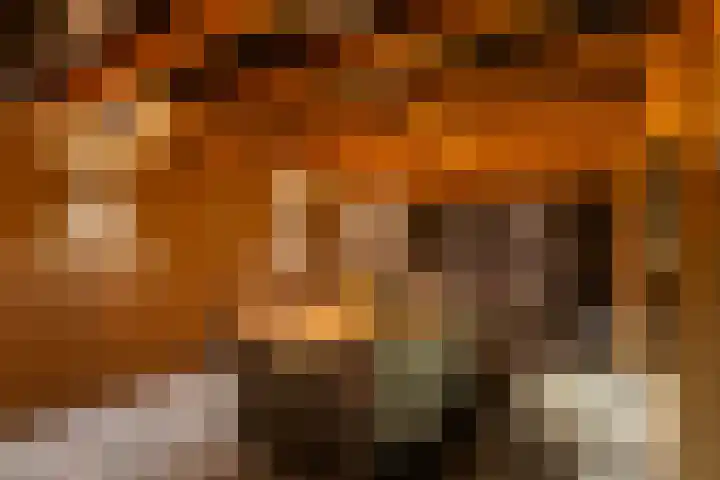 Brinkerpad 41 Bennekom thumbnail 32