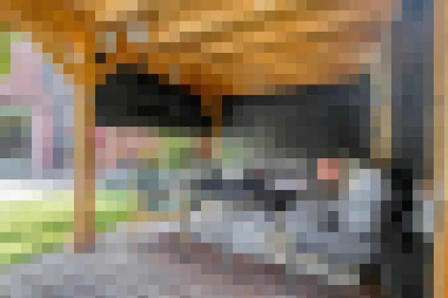Brinkershof 4 Zoetermeer thumbnail 40