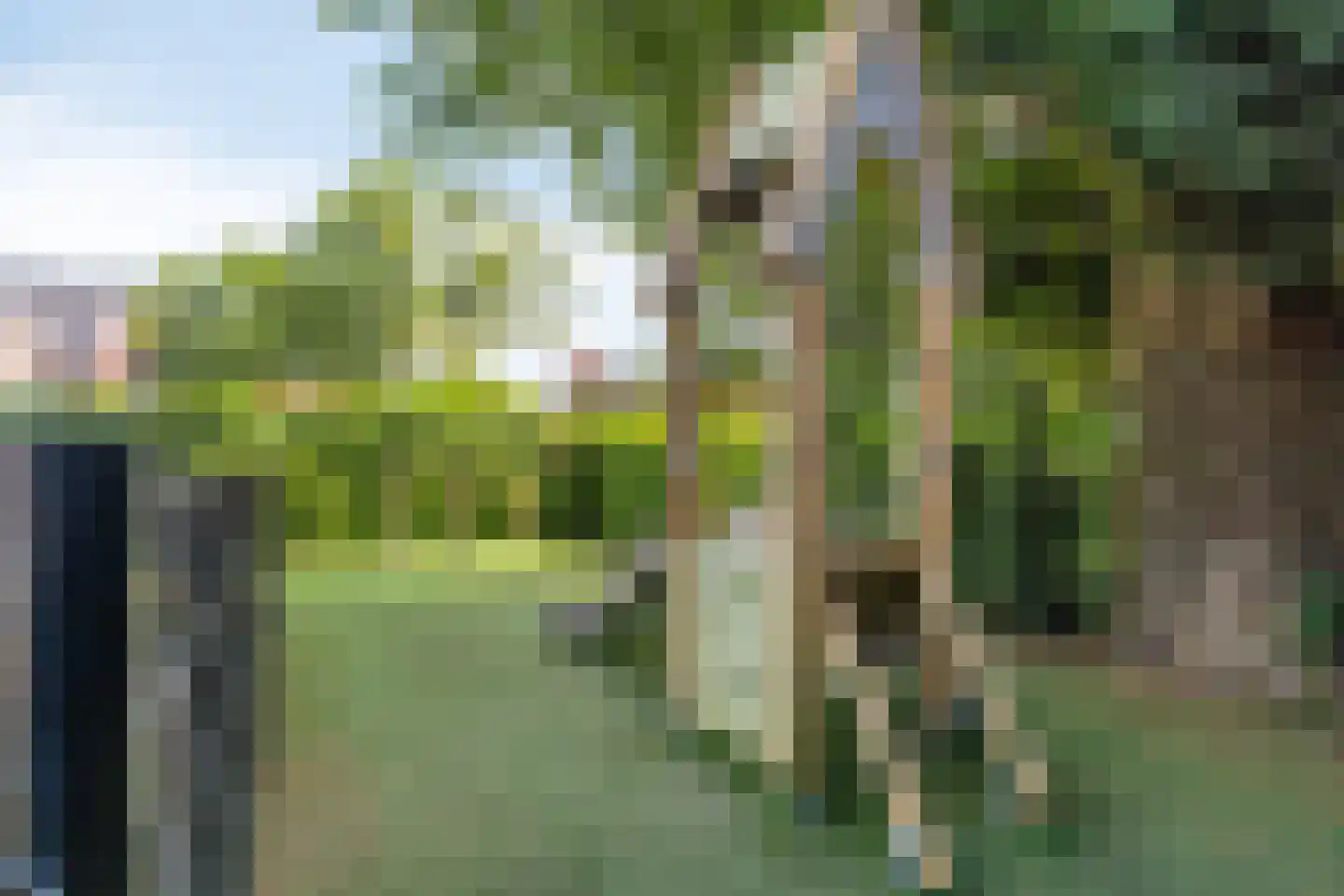 Brinkershof 4 Zoetermeer thumbnail 45
