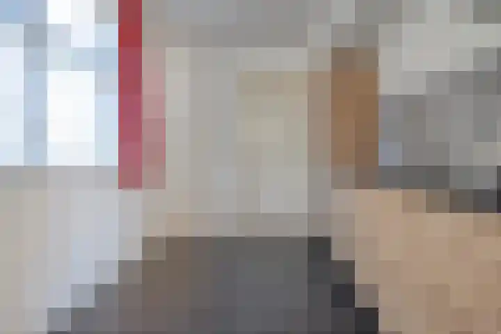Brinkerstraat 4 Raalte thumbnail 15