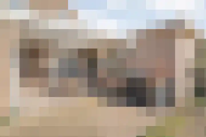 Brinkerstraat 4 Raalte thumbnail 30