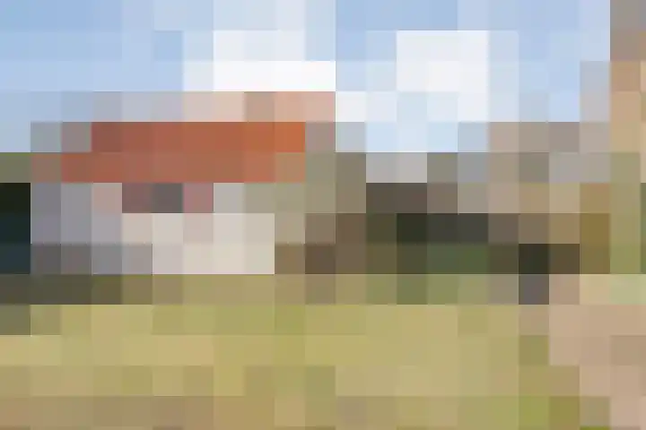 Brinkerstraat 4 Raalte thumbnail 32