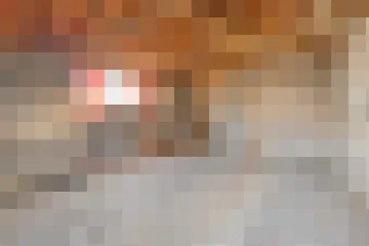 Brinkerstraat 4 Raalte thumbnail 35
