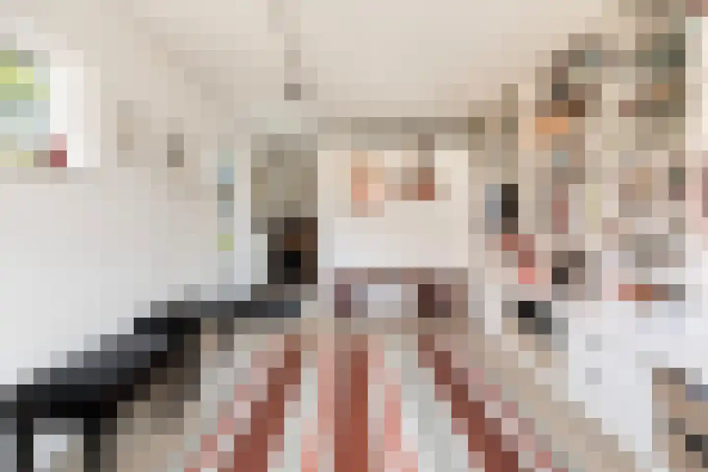 Brinkersweg 12 Nunspeet thumbnail 40