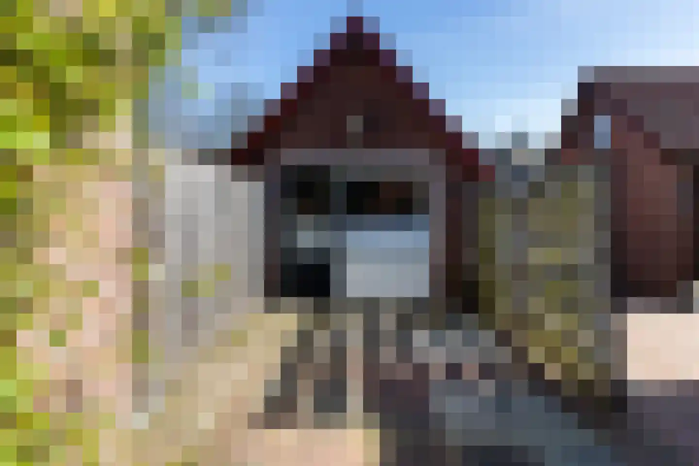 Brinkersweg 12 Nunspeet thumbnail 5
