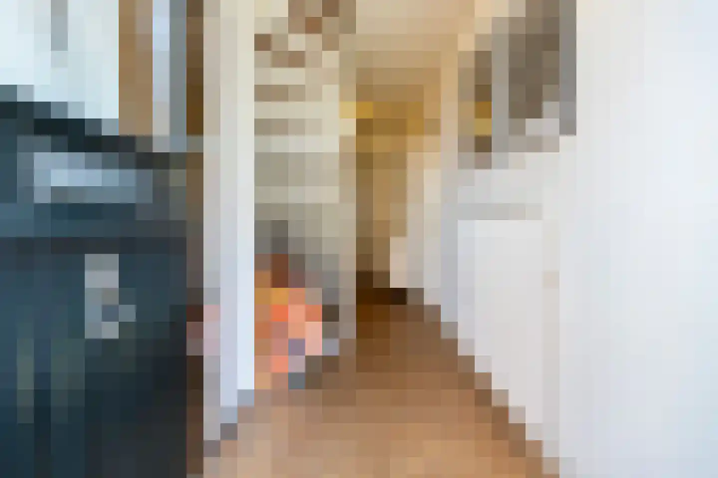 Brinkersweg 12 Nunspeet thumbnail 6