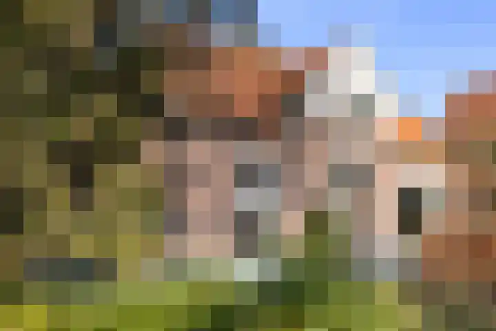Brinkersweg 31 dans Nunspeet