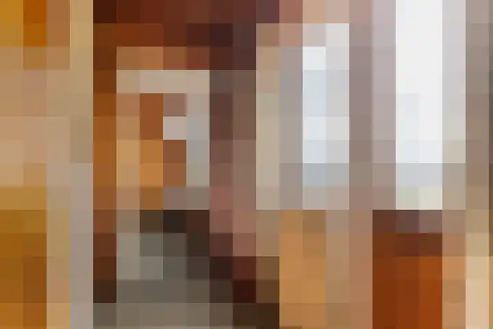 Brinkersweg 31 Nunspeet thumbnail 12
