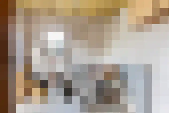 Brinkersweg 31 Nunspeet thumbnail 16