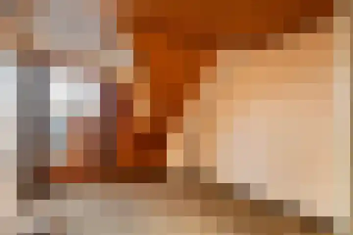 Brinkersweg 31 Nunspeet thumbnail 18