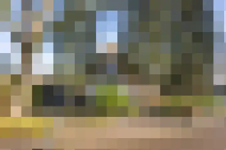 Brinkersweg 31 Nunspeet thumbnail 21