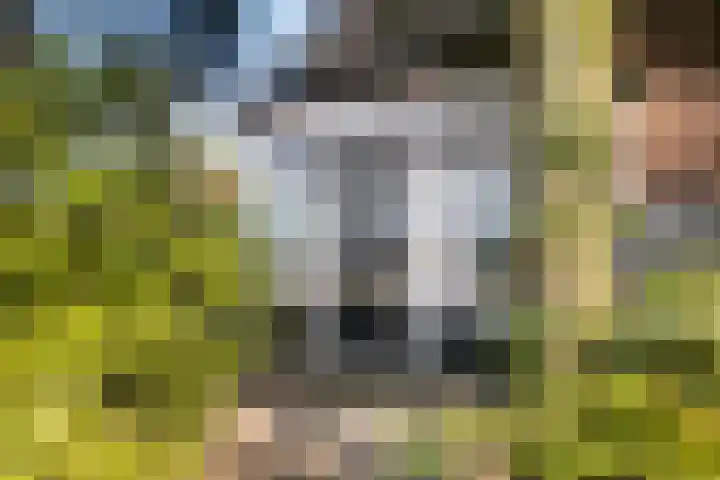Brinkersweg 31 Nunspeet thumbnail 22