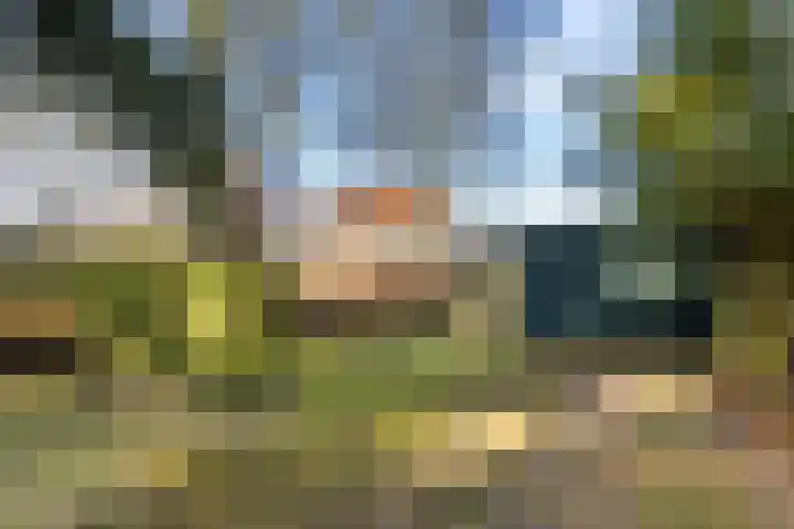 Brinkersweg 31 Nunspeet thumbnail 23