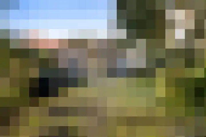 Brinkersweg 31 Nunspeet thumbnail 25