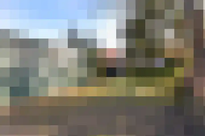 Brinkersweg 31 Nunspeet thumbnail 26