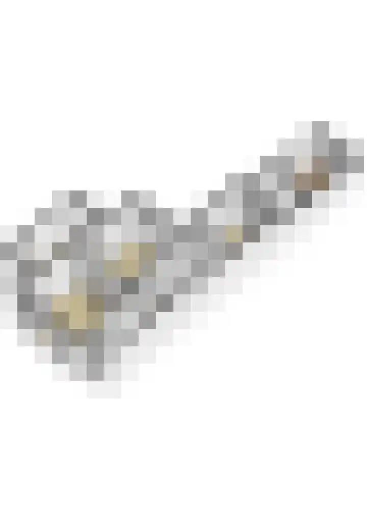 Brinkersweg 31 Nunspeet thumbnail 32
