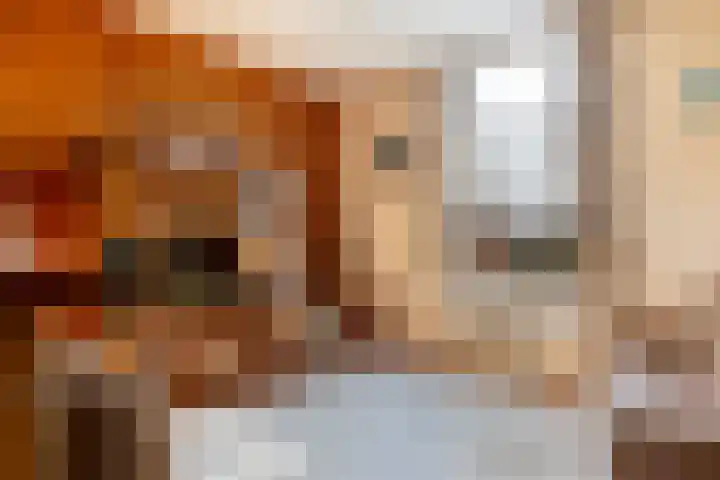 Brinkersweg 31 Nunspeet thumbnail 8