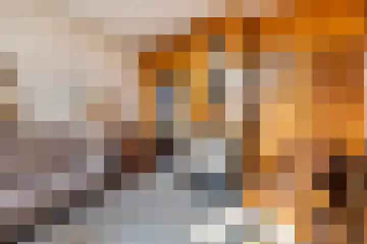 Brinkersweg 31 Nunspeet thumbnail 9