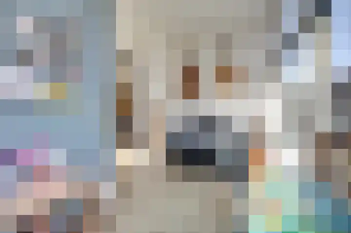 Brinkersweg 33 Nunspeet thumbnail 13